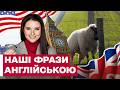 ПІСЛЯ ЦЬОГО ВАМ БУДЕ ЛЕГШЕ ГОВОРИТИ АНГЛІЙСЬКОЮ! Як перекладати українські фрази?