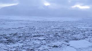 Frozen Ocean, Alaska