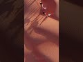 ورشة تصوير الرمال ولاية بدية تصوير فوتوغرافي