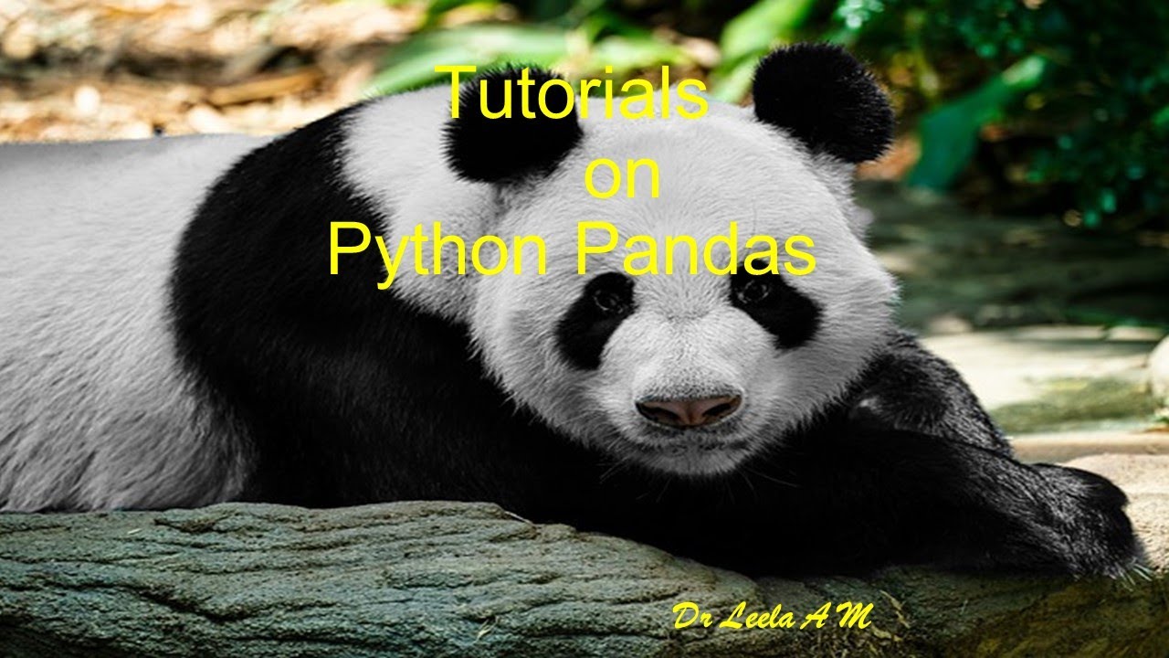 6. Python Pandas Tutorial 6 CSV File Contd... - YouTube