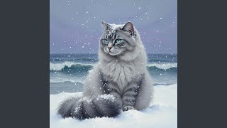 Winter has arrived