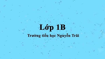 Lớp 1B, trường tiểu học Nguyễn Trãi TP Hải Dương.