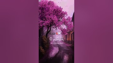 🎧🤍💆♂️🫀😍   القارئ: #احمد_النفيس | #سورة_الشعراء