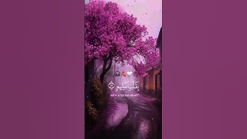 ‎🎧🤍💆‍♂️🫀😍  ‎ القارئ: #احمد_النفيس | #سورة_الشعراء