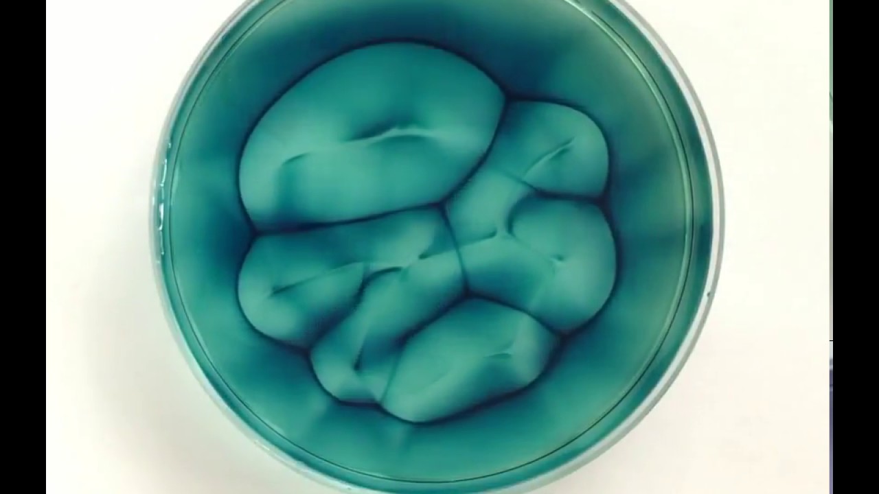 Formation and evolution of spatiotemporal patterns (depth = 8.8 mm)