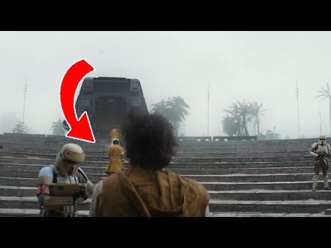 Did you spot