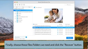 How to recover deleted or lost files from APFS drive?
