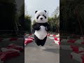 Gigantaj pandoj kaŭzas problemojn! #KungfuPando #GigantaPando