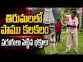 Tirumala : తిరుమలలో పాము కలకలం పరుగులు పెట్టిన భక్తులు  - TV9
