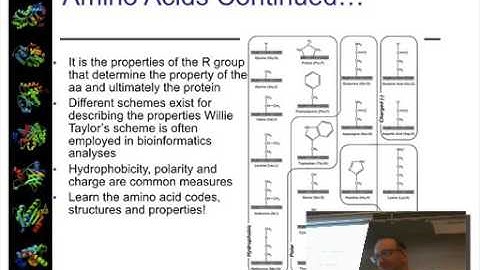 Secondary Structure Prediction Part 1