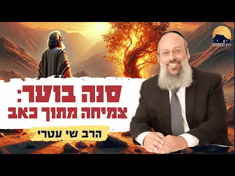 מה האש שלך אומרת עליך | להפוך את האש הפנימית לכלי לצמיחה | להאיר את הנשמה מבלי להישרף ᴴᴰ