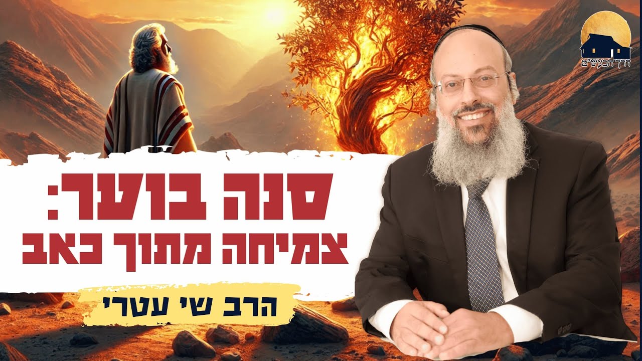 מה האש שלך אומרת עליך | להפוך את האש הפנימית לכלי לצמיחה | להאיר את הנשמה מבלי להישרף ᴴᴰ