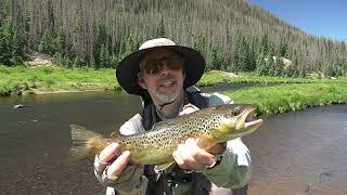 Fly Fishing the Conejos River in Colorado