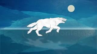 Game of Throne Wolf After Effects Animation