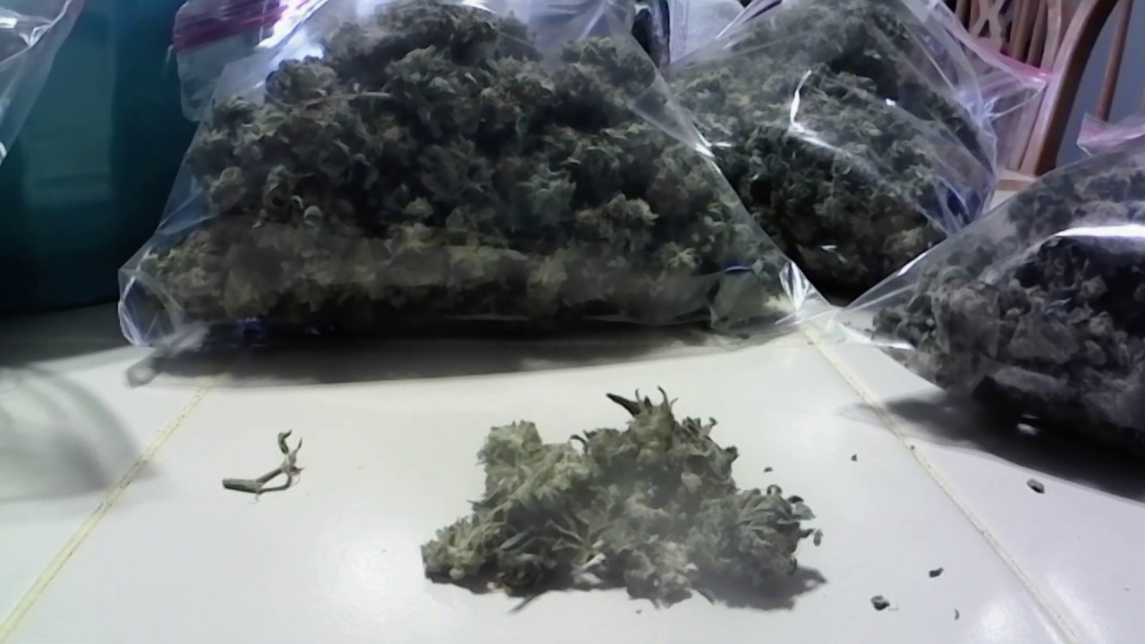 Michigan Home Grown Medicine - Bud Brake