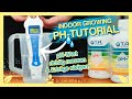 Grow Tutorial PH Wert Verstehen Und Richtig Messen