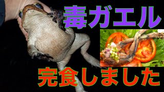 更新しました！！【レア】送料込☆えいちのみず・ワカガエル mqdefault.jpg