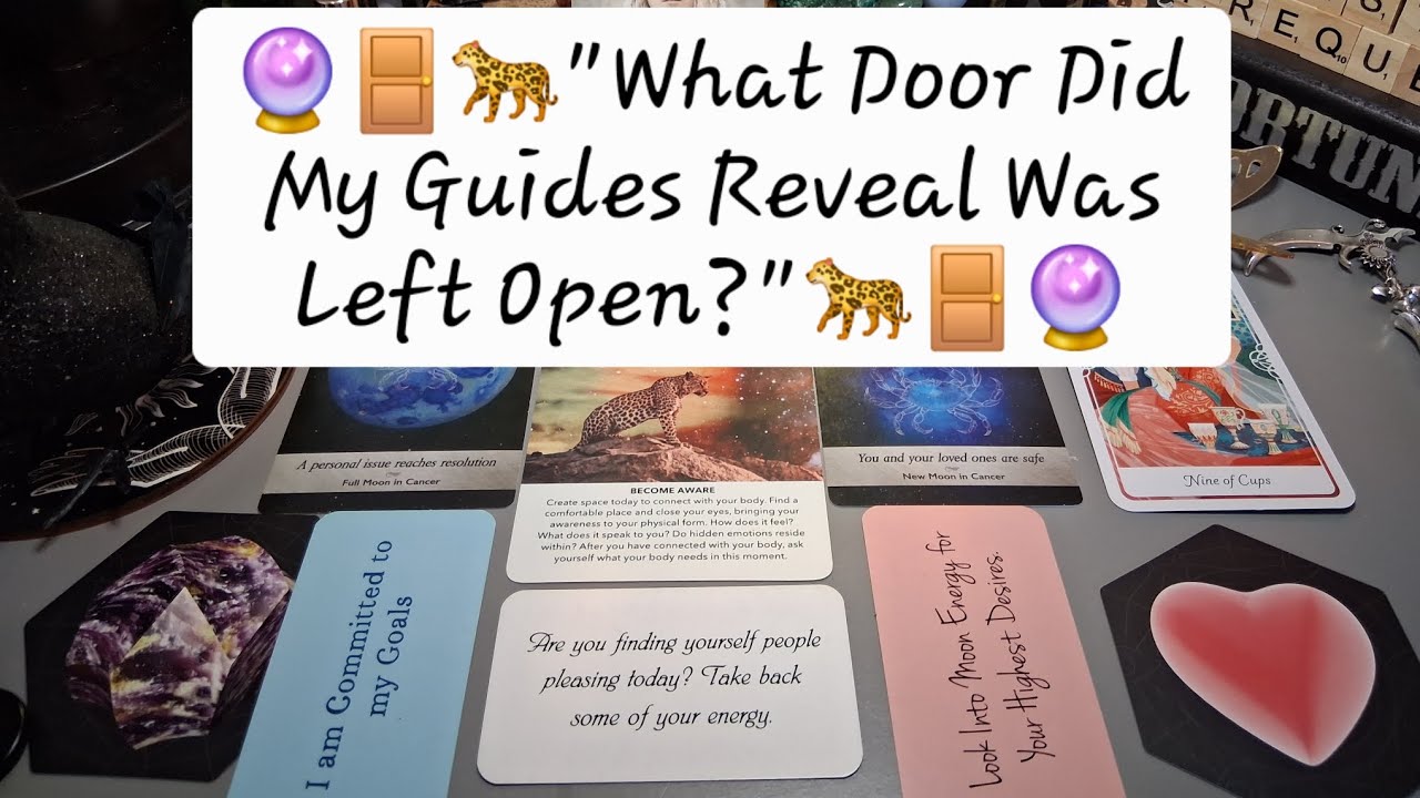 🔮🚪🐆