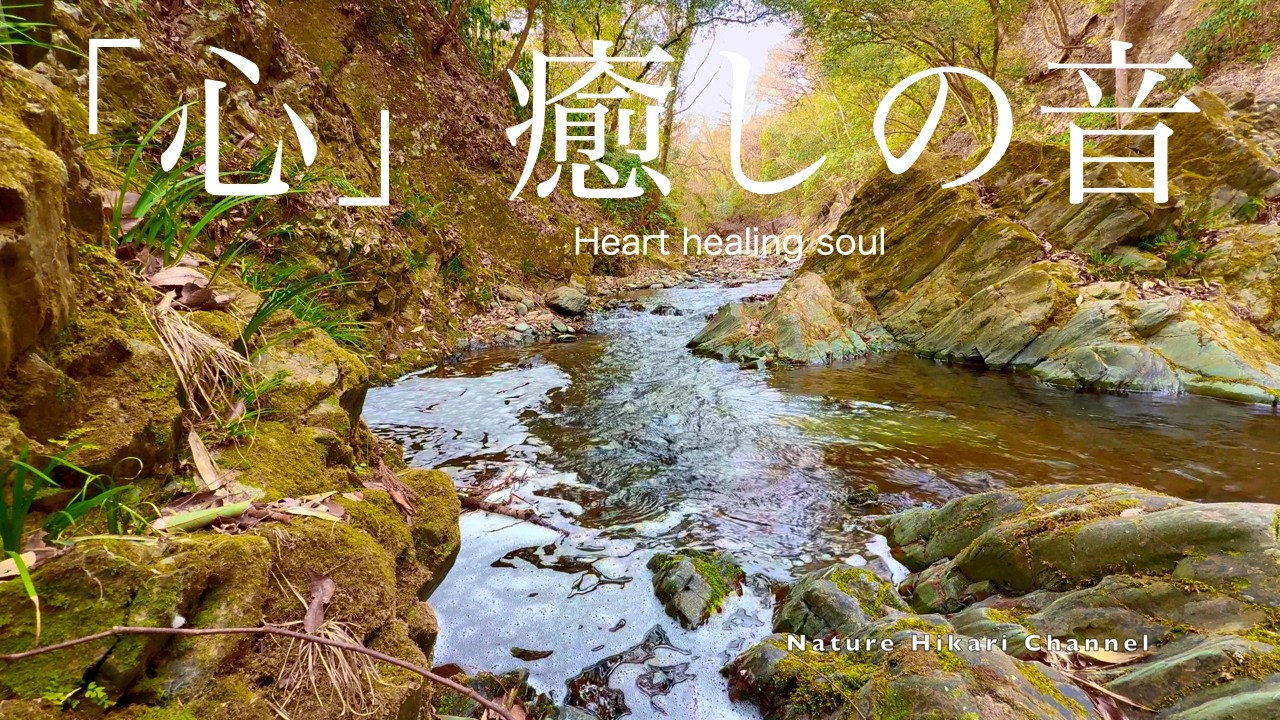【日本の麗しい自然】【春】【432HzBgm、川の自然音】心身の深いリラックス