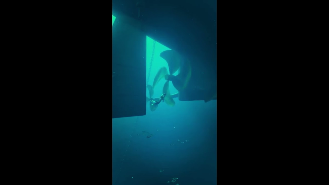 NEAR DEATH EXPERIENCE Ship Propellers