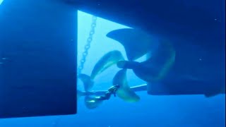 NEAR DEATH EXPERIENCE Ship Propellers Resimi