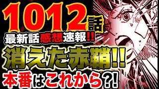 ワンピース 最新話感想速報 消えた赤鞘の侍 まさかの行動に 本番はこれからだ 予想考察 Youtube