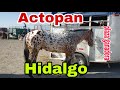 Video de Actopan