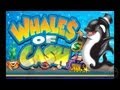 Whales of Cash casino slot game - iPhone & iPad Gameplay ...