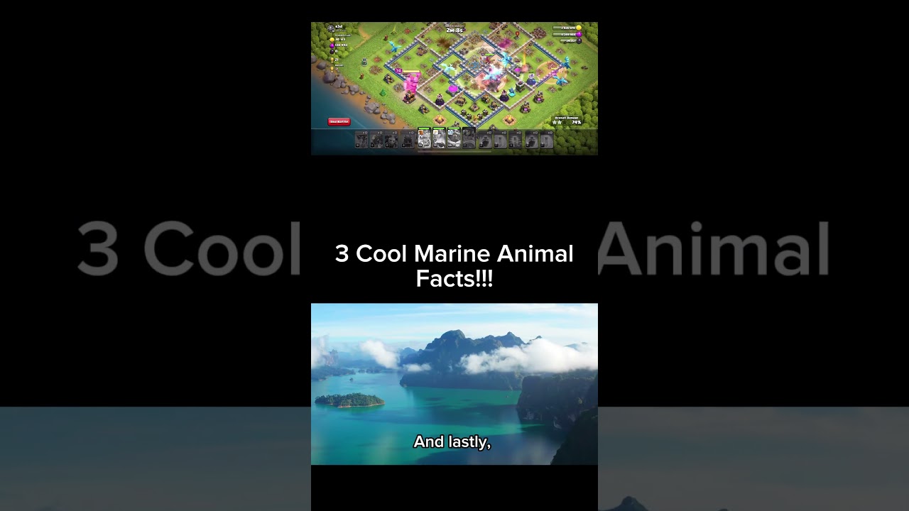 Youtube Shorts - AI used in an informative way to teach curious people 3 cool marine animal facts.