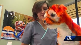 The Origin Of Auburns Un Mascot Tiger Jake