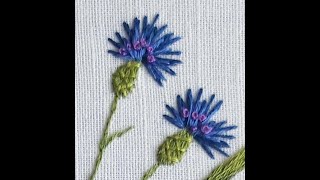 картинка: Вышиваем ботанику, ВАСИЛЕК