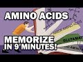 Memorize the 20 Amino Acids in 9 Minutes