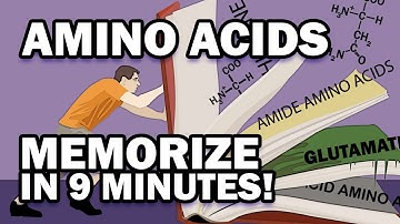 Memorize the 20 Amino Acids in 9 Minutes