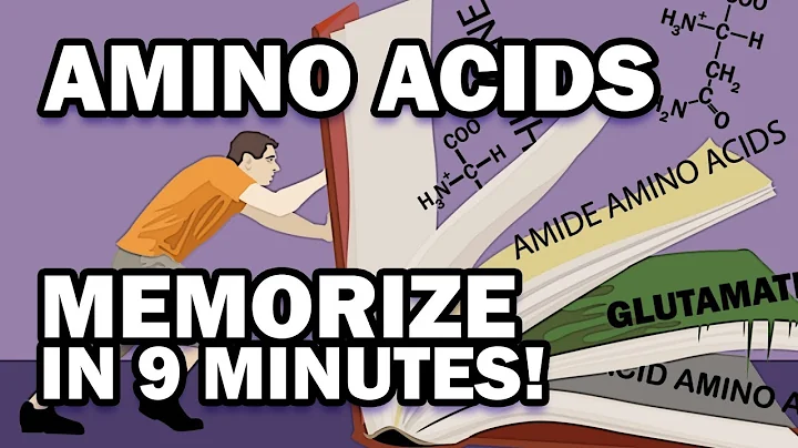 Memorize the 20 Amino Acids in 9 Minutes - DayDayNews