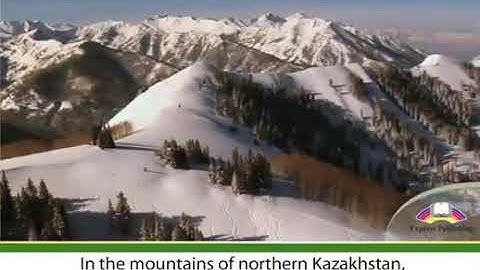 Excel 6.Module 7c.Grove of the Dancing birches video ver.Ex:1.p.82