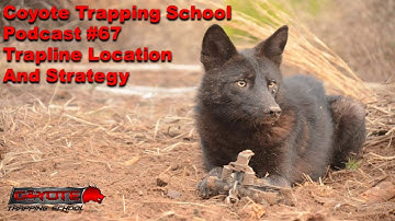 67 – Trapline Location and Strategy – Coyote Trapping School Podcast