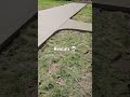 Learning how to make videos #realestate