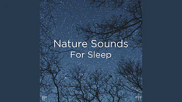 Nature Sounds & Music