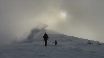 Betty's Full House for Kerry Blue Terrier Rescue