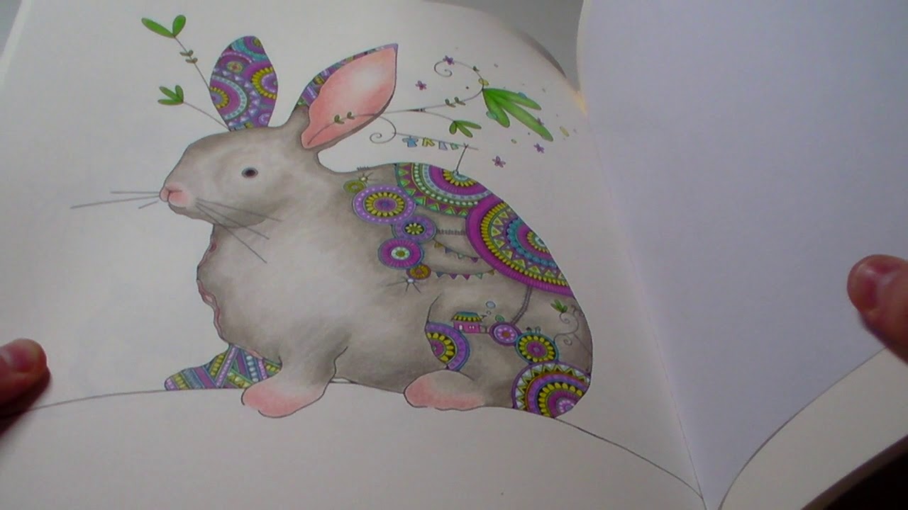 Fantastic Zoo Colouring Book: 40% Completed - YouTube