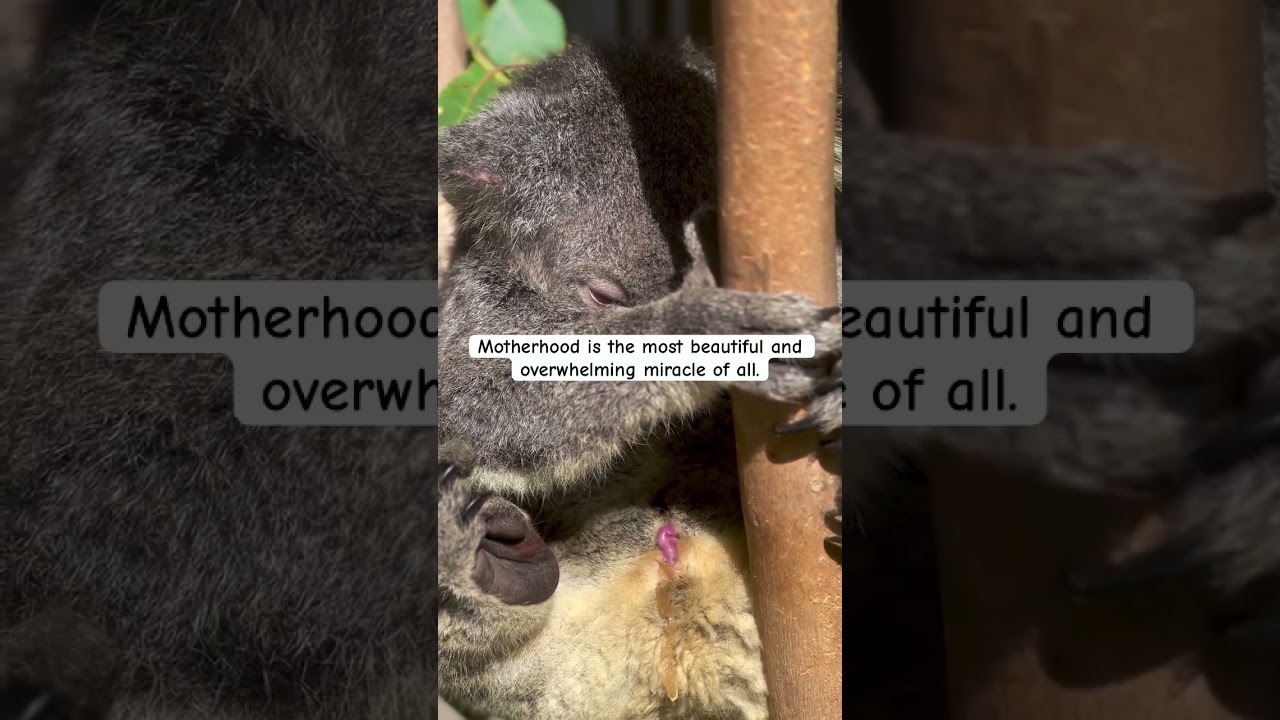 Amazing moment 🥹❤️ 