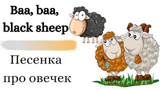 Песня про овечек/  Baa, baa, black sheep