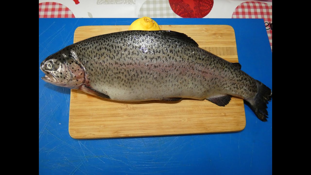 TRUCHA (ARCOIRIS O ASALMONADA) LIMPIA , FILETEADA Y SIN PIEL .PASO A PASO FACIL Y SENCILLO