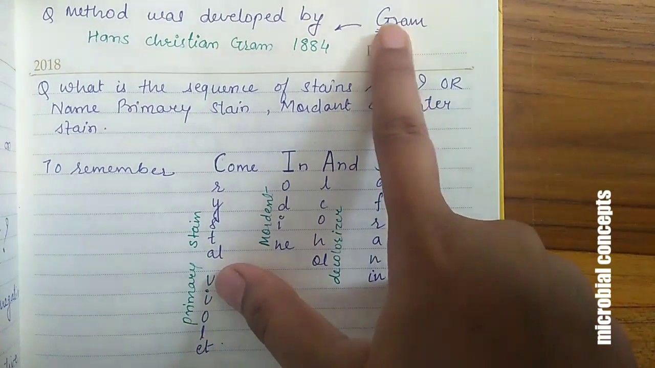 Gram staining Viva Questions FY BSc Microbiology practical series