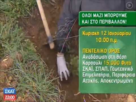 1η Εθελοντική αναδάσωση