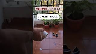 #algorithm #nocontent #viralvideochallenge #funny #viralreels #explorepage #trending #fyp#penguin