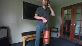 NS NXT Electric Upright Bass Demo