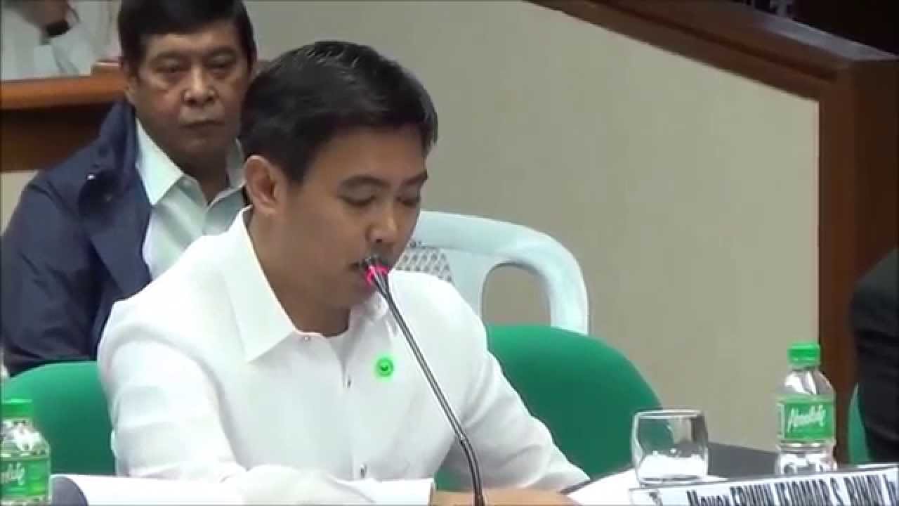 Makati Building 2 probe hangs pending Senate panel’s final ruling on Binay ‘challenge’