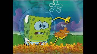 These Are Big Leaves