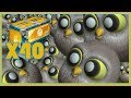 ROCKET LEAGUE FR | J'OUVRE DES CAISSES SUR LE COMPTE DE TEQUILAZ, UNE DINGUERIE !! [ELEVATION X40]
